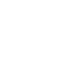 ico fast 2